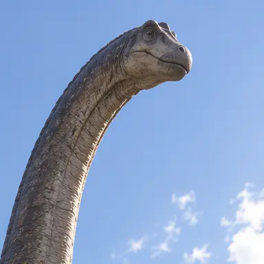 Profile image of Kio