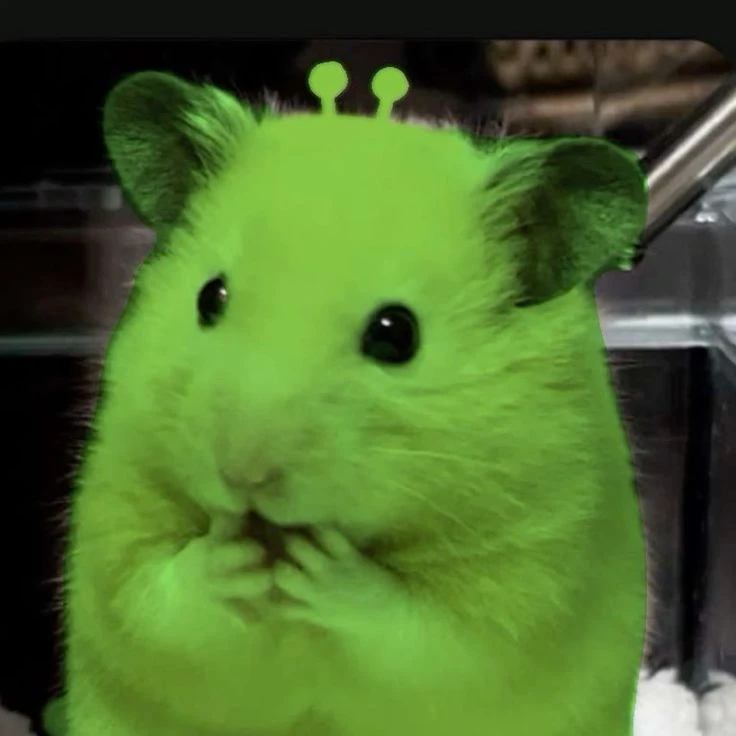 타코
