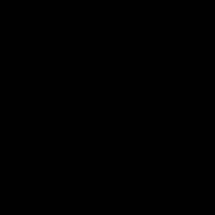 조걸