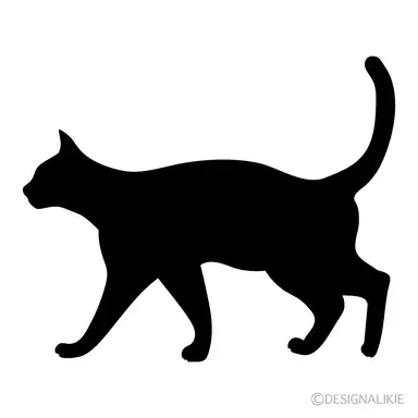 Profile image of キヨ