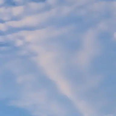 Profile image of 여우 제베원 단톡방