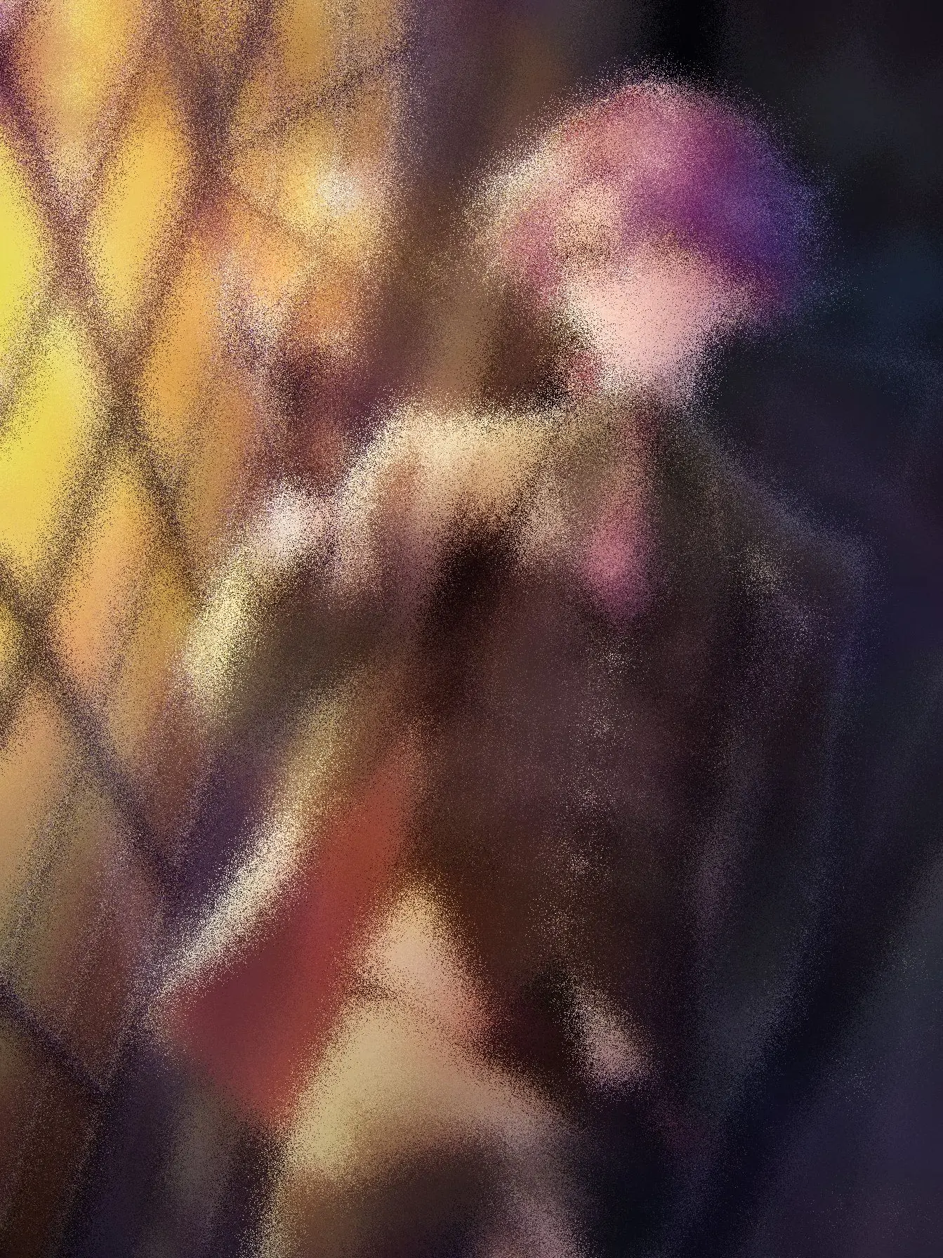 sasa000의 怪盗 。