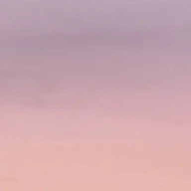 Profile image of 유미란