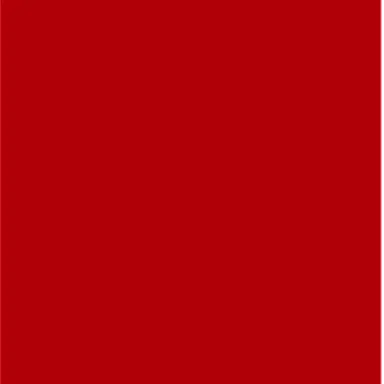 Profile image of 료슈