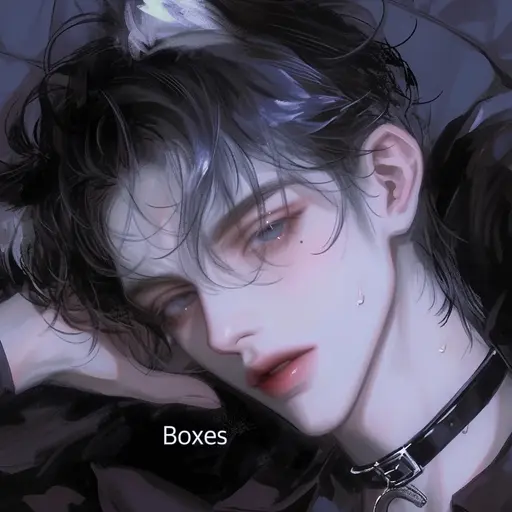 Boxes의 밤비