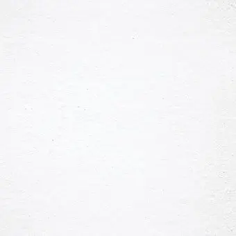 Profile image of 파인
