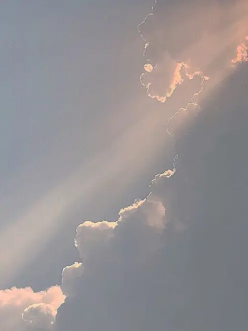 112113의 나를 괴롭히면 이 사람들이 옵니다!!
