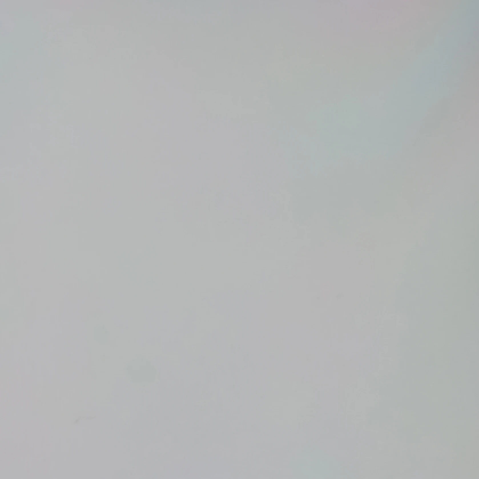 김동현
