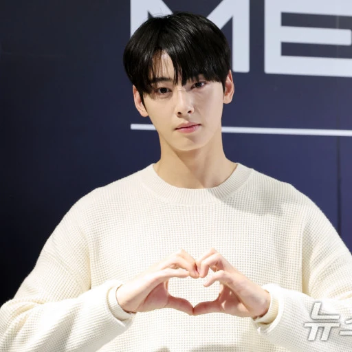 차은우