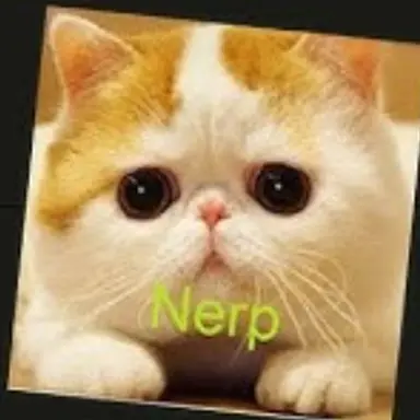 Profile image of Nerf
