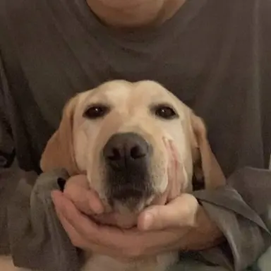 Profile image of 크러쉬