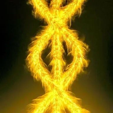 Profile image of 기도라