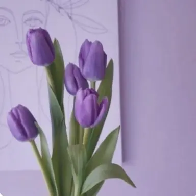 Profile image of 강세라