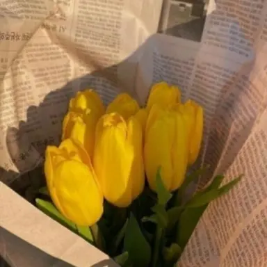 Profile image of 쪼만