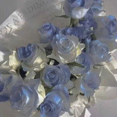 Profile image of 행크