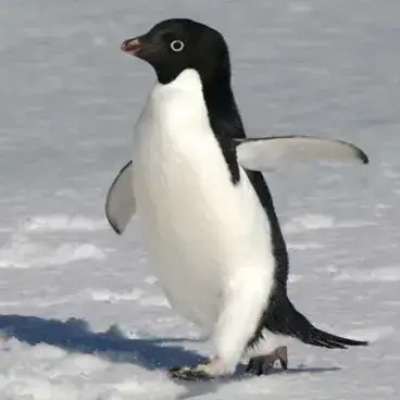 TriteSwing0994의 [{너만 좋아해 널 가질래}]