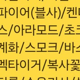 벨키