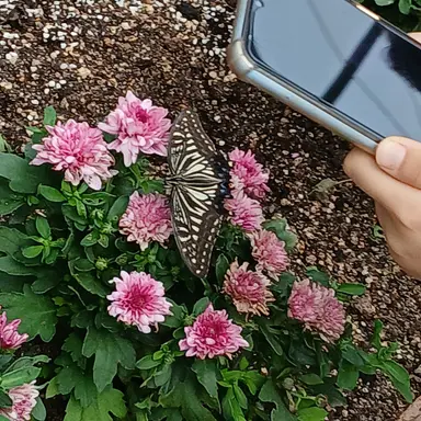 Profile image of 여우