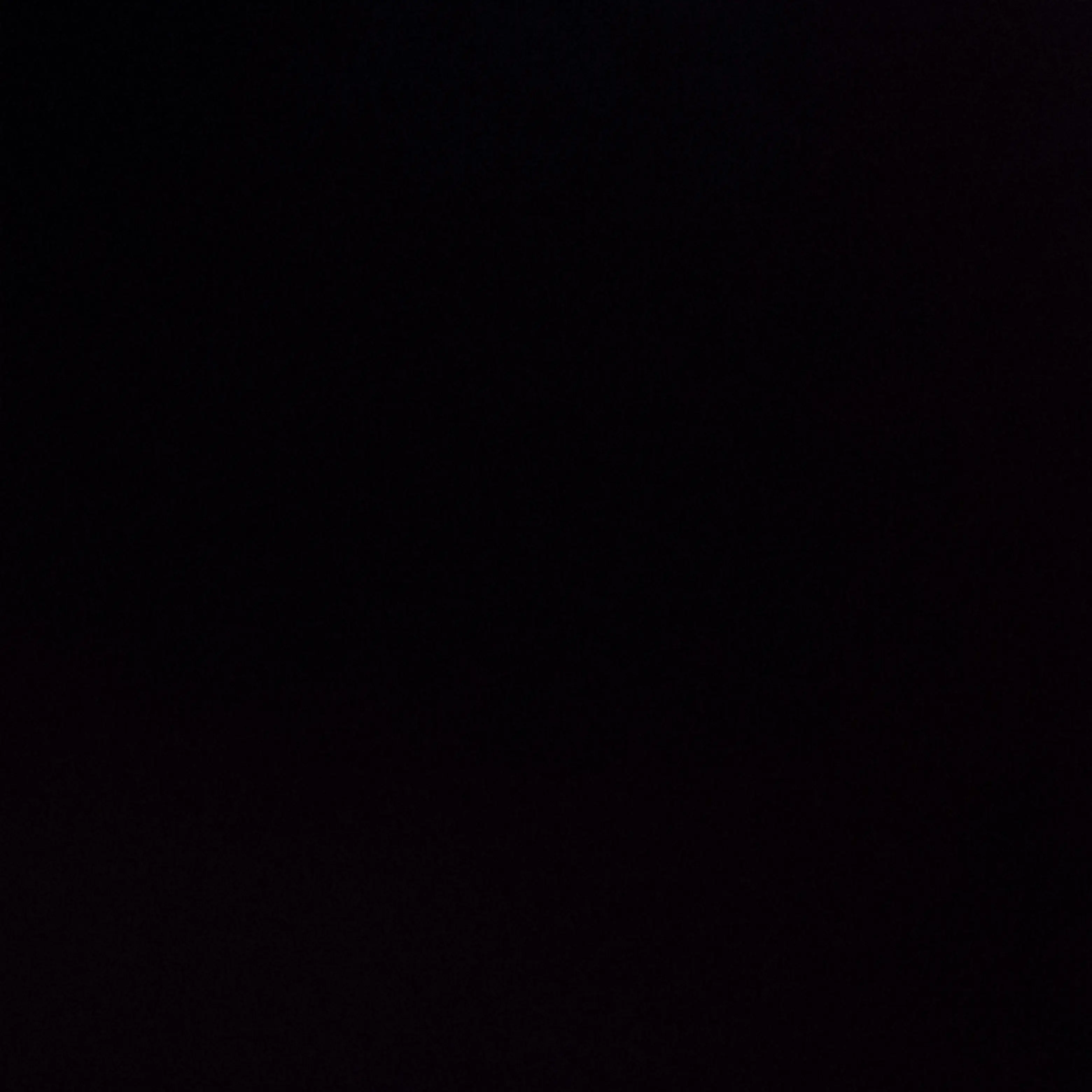 PointyTooth7711의 フランソーワ氷虎、自分用ですすいません