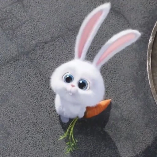 이리노