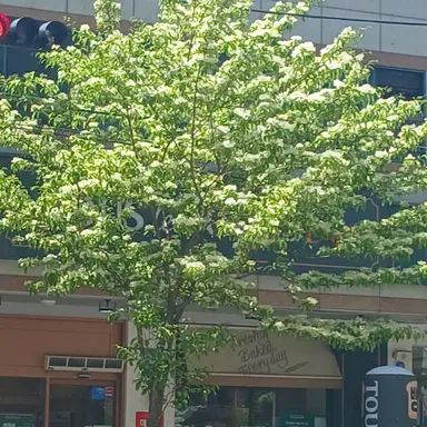 Profile image of 김도훈