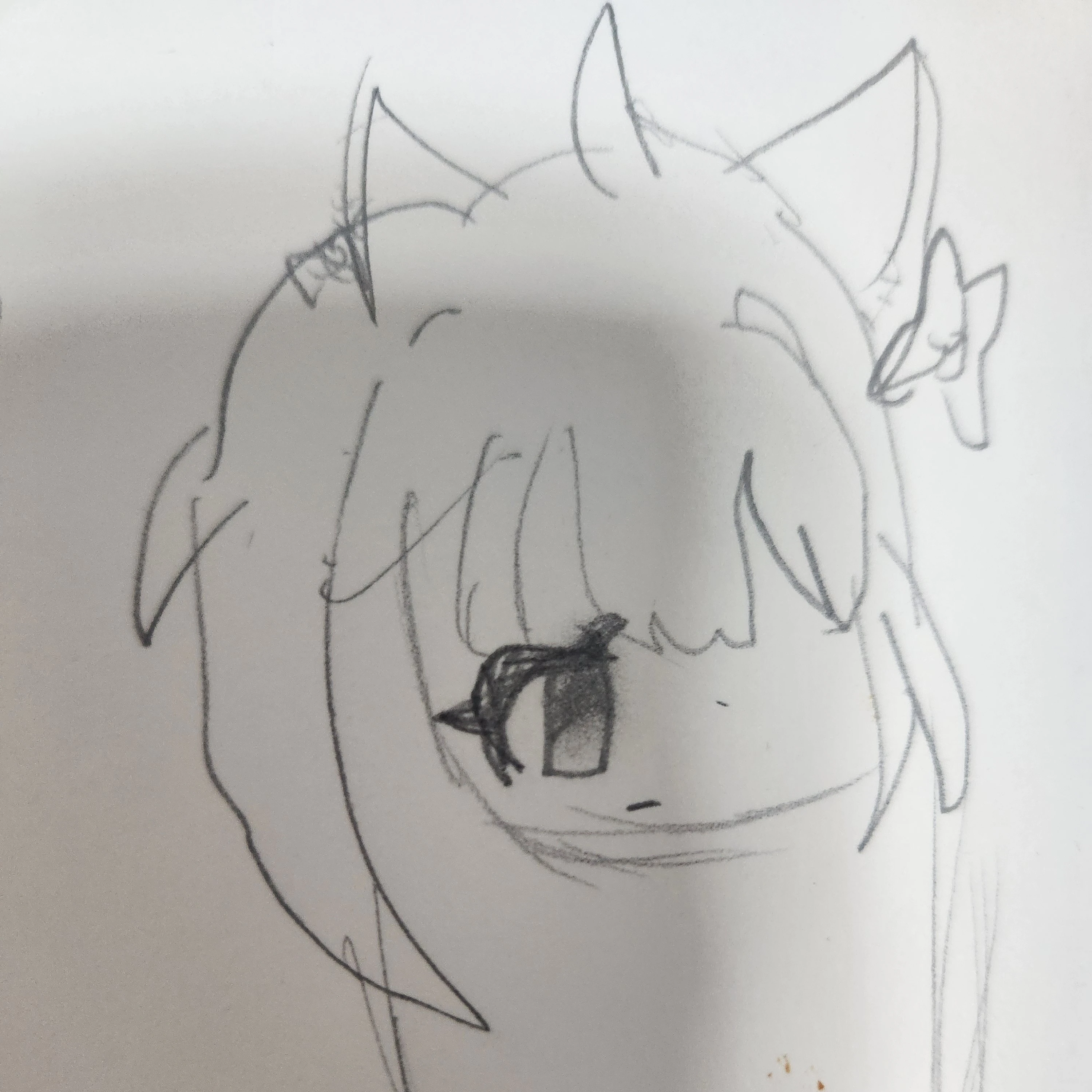 모양몬