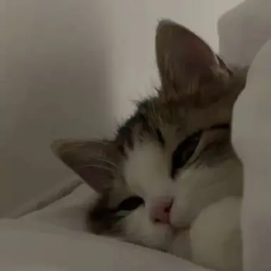 Profile image of じふん