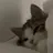じふん