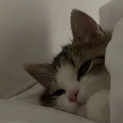 じふん
