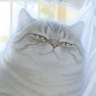 Profile image of みーちゃん