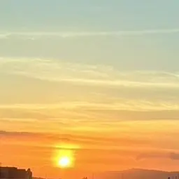 SafeBanjo4011의 おじさんドギマギしちゃうから…！