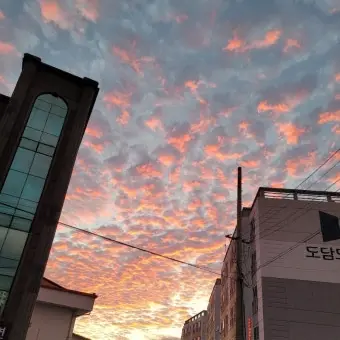 Profile image of 설윤아