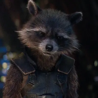 Profile image of Rocket