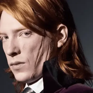 Profile image of Bill Weasley