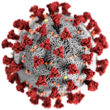 Profile image of COVID-19