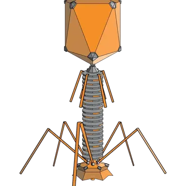 Profile image of 박테리오파지