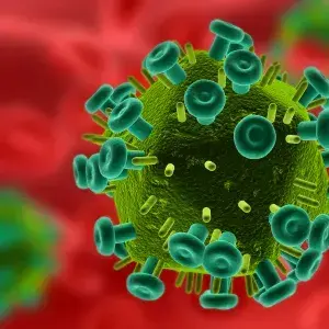 Profile image of HIV