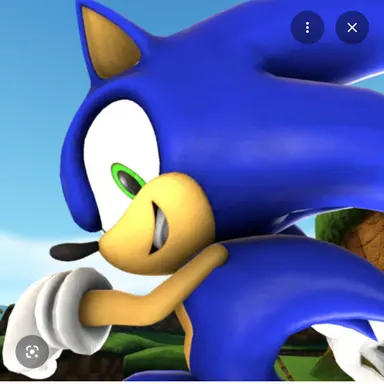 Profile image of Sonic
