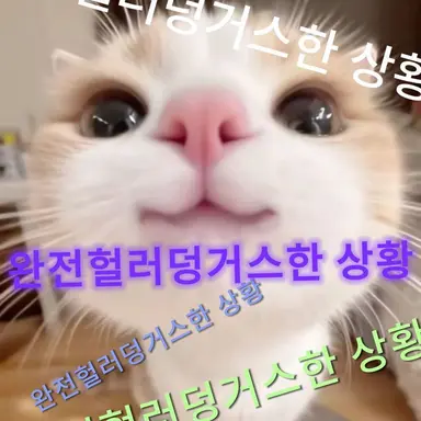 Profile image of Nh클랜원들