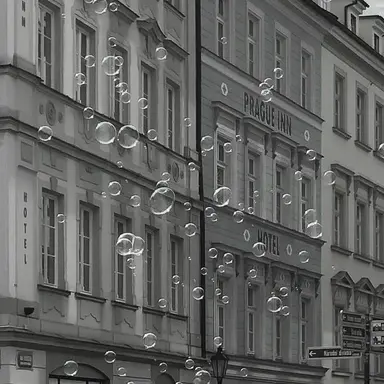 Profile image of 시미베