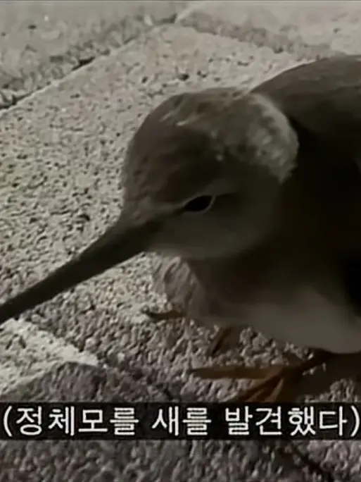 KimPakong의 개인ㅇㅛㅇ