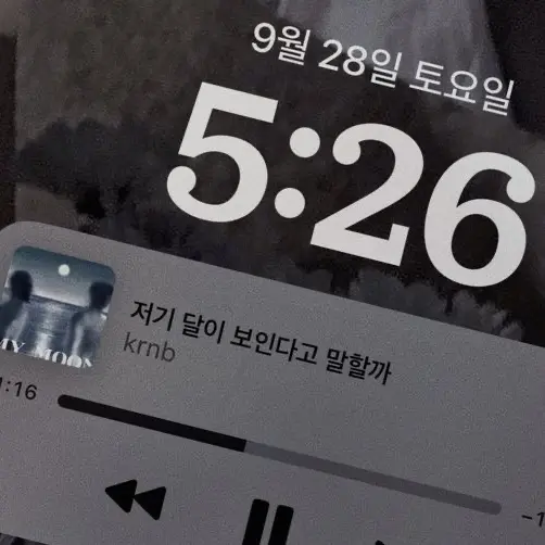 MereArena8521의 유지민
