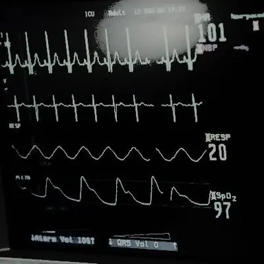 Profile image of 박찬솔