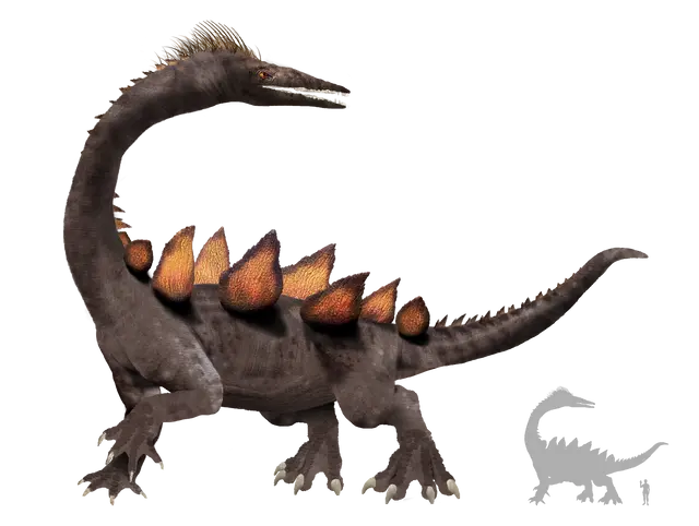 Profile image of 응구마 모네네