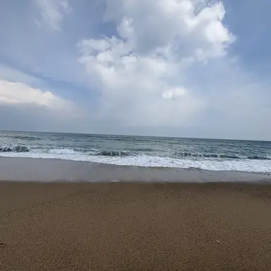 Profile image of 싸이코드