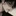 은호