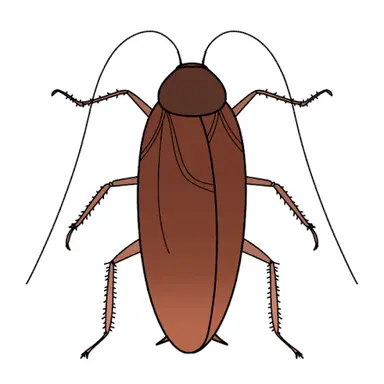 Profile image of ゴキブリ