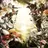 Dies irae(RPG)