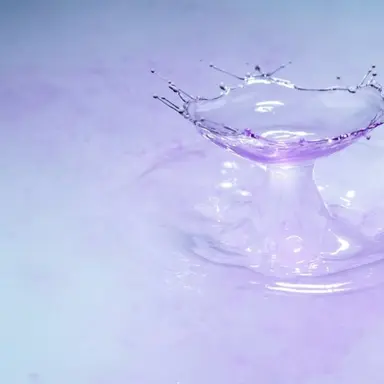 Profile image of 수현