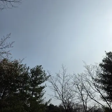 Profile image of 연시은